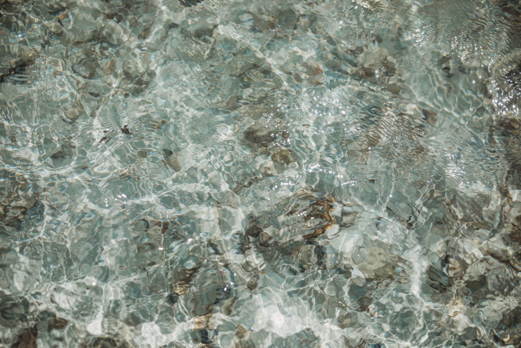 Transparente