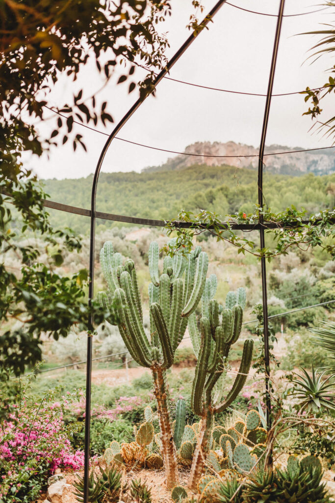 Tramuntana Garden